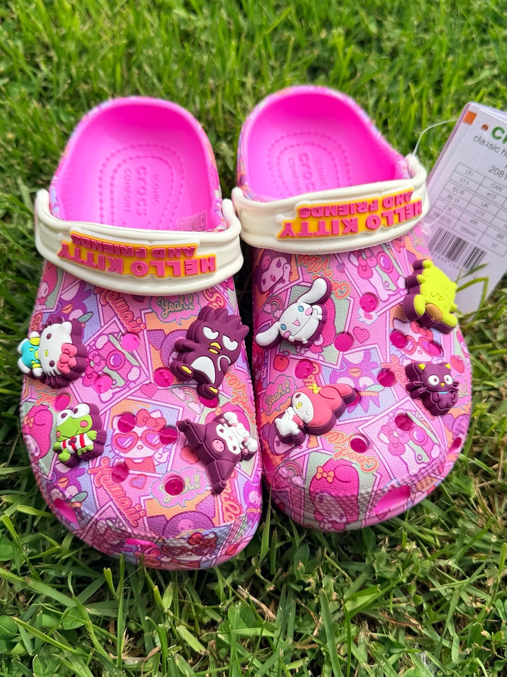 CROCS Kids' Pink Hello Kitty & Friends Printed Clogs with Charms